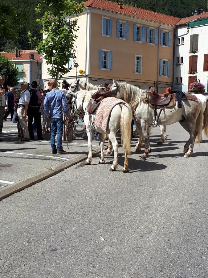 Les Mirabelles Chambres D'Hotes Sisteron Bagian luar foto