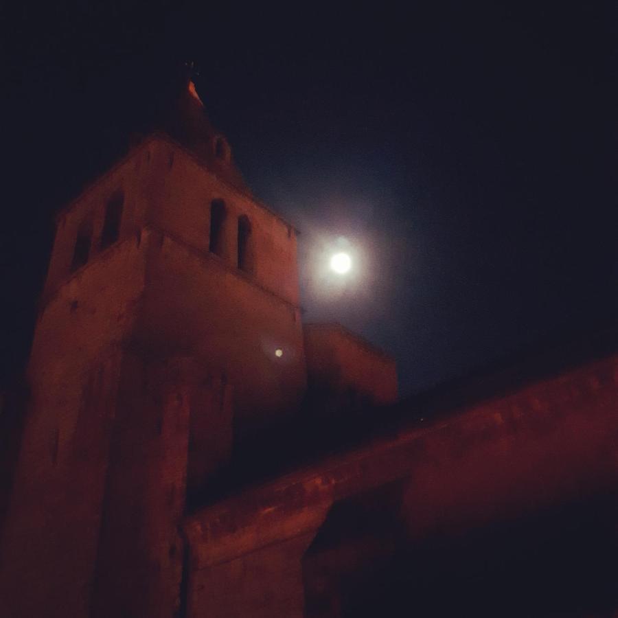 Les Mirabelles Chambres D'Hotes Sisteron Bagian luar foto
